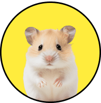 Hamster icon representing small mammal transportation services