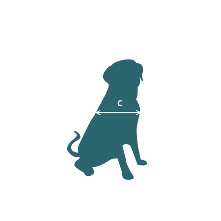 Seated dog seen from the front, marked with measurement C, the width of the dog at its widest point