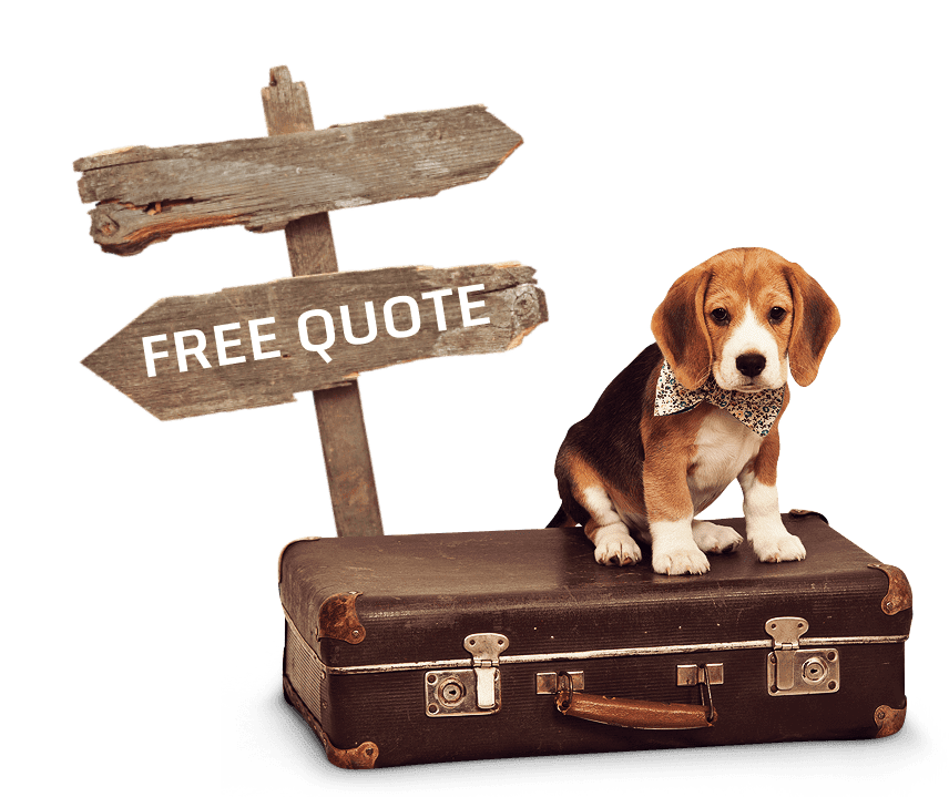 Puppy sitting on a suitcase next to a “Free Quote” sign for pet transportation services